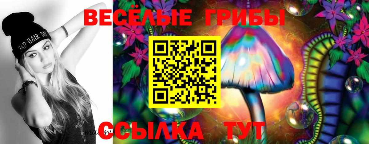 Галлюциногенные грибы Psilocybe  Вход с VPN  Клинцы 
